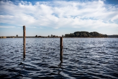 Meer