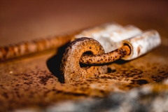 Rost auf Ummanz