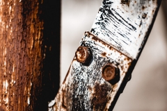 Rost auf Ummanz