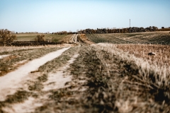 Auf dem Weg zum Kap Arkona