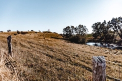 Auf dem Weg zum Kap Arkona